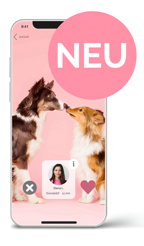 PetMatch-Home-New-App-kl